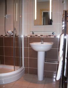 彭里斯奥尔巴尼旅馆的一间带水槽和淋浴的浴室
