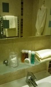 彭里斯奥尔巴尼旅馆的浴室的柜台设有水槽和镜子