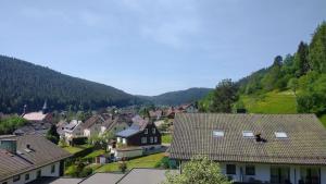 恩茨克勒斯特勒Ferienwohnung mit Aussicht的一座有房子和山地的村庄