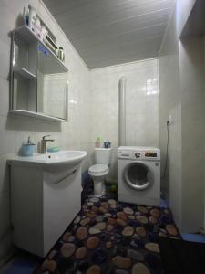 纳伦Naryn Guest House的一间带水槽和洗衣机的浴室