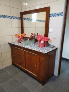 Sainte-SuzanneA LA CLAIRE FONTAINE的浴室的柜台设有水槽和镜子