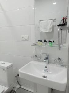 塔什干Queens 2 hotel的白色的浴室设有水槽和卫生间。