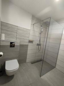 采尔克诺Apartments and rooms pri Bašlju的一间带卫生间和玻璃淋浴间的浴室