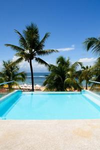莫罗圣保罗Villa Amado的一座种植了棕榈树和大海的蓝色游泳池