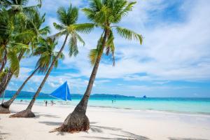 长滩岛Shorebreak Boracay Resort的海滩上一棵棕榈树和大海