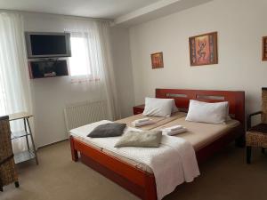 奥什恰德尼察HM膳食旅馆的卧室配有一张床,墙上配有电视。