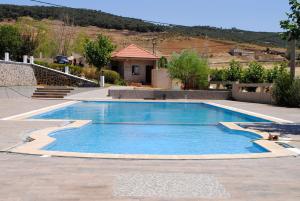 Zaouia Ben Smine塔曼诺赫特酒店的院子里的大型蓝色游泳池
