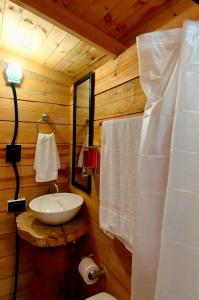 瓜斯卡Glamping El Edén Guasca Cundinamarca的小木屋内带水槽的浴室