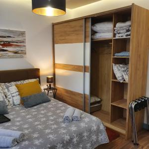 德布勒森Jégmadár Apartman的一间卧室配有一张床和一个衣柜
