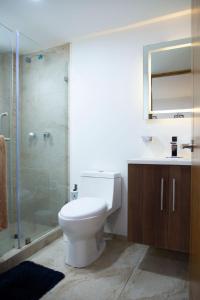 墨西哥城Kolben Nuoma的浴室配有卫生间、淋浴和盥洗盆。