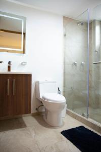 墨西哥城Kolben Nuoma的一间带卫生间和玻璃淋浴间的浴室
