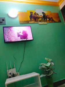 蒙巴萨Phee home的挂在绿色墙壁上的平面电视
