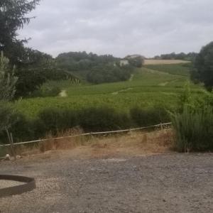 FuisséVirginie et Serge的享有带围栏的绿色田野的景色