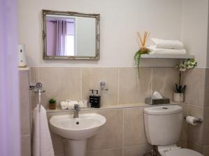 约翰内斯堡Nal'enzo Luxe Stays的一间带水槽、卫生间和镜子的浴室