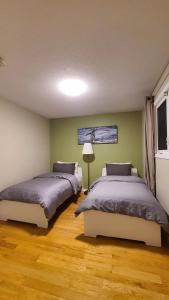 耶洛奈夫YK Aurora的配有绿色墙壁和木地板的客房内的两张床