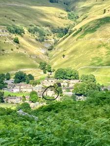 BuckdenThe Dale at Greystones - Luxurious annexe with stunning view的山坡上一幅村庄的树木画