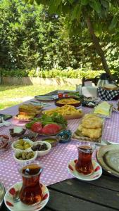 卡特佩BEYAZEV BUTİK OTEL MAŞUKİYE的野餐桌,带盘子的食物和茶杯