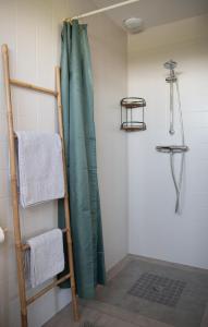 Home By Sab的浴室内设有带绿色淋浴帘的淋浴