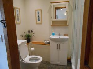 贝尔珀Callwood Farm Annex Guest Room的一间带卫生间和水槽的浴室