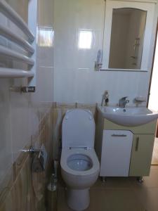 叶海格纳佐尔D&G guest house的浴室配有白色卫生间和盥洗盆。
