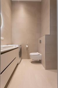 塔尔图Vallikraavi Lux Apartment的一间带卫生间和水槽的浴室