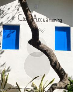 阿廷斯Casa Acquamarina的白色建筑前方的树,有蓝色的窗户