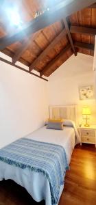 上布雷尼亚Casa Los Agapantos的一间卧室配有一张带蓝色毯子的床