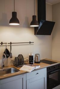 BrocēniRozenstein design apartment的厨房配有水槽和柜台上的两个灯