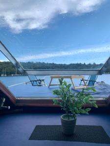 BrovinjeTraditional 2 bedroom houseboat Nova Natalina的一艘带两张桌子的船和一座盆栽植物