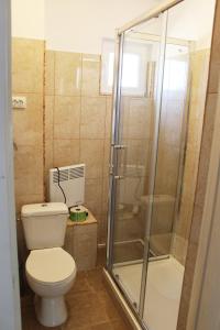 SăcueniVILA ONIX的一间带卫生间和淋浴的浴室