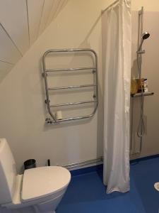 奥胡斯Mysigt rum i villa med egen ingång och nära havet.的一间带卫生间和淋浴帘的浴室