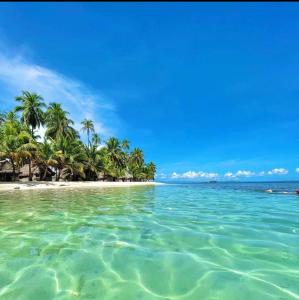 Playón ChicoArridub Island-Iguana的棕榈树海滩和海洋