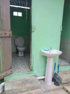 Playón ChicoArridub Island-Iguana的一间带水槽和卫生间的浴室