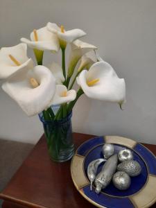 比勒陀利亚64 on Malabor的白花花花瓶和一盘银球
