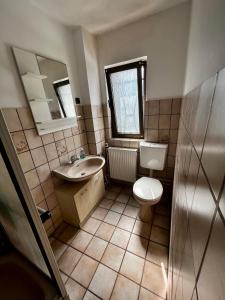 杜塞尔多夫Praktisches Zimmer im Großen Haus mit garten的一间带卫生间、水槽和镜子的浴室
