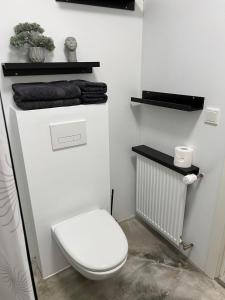 雷克雅未克Helena's studio, Reykjavík 104的浴室配有白色卫生间和散热器