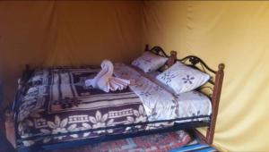 姆哈米德Chegaga desert Trips camp的一张木架床