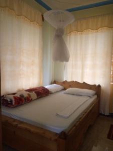 LushotoGalapagos Homestay的一张位于房间的床,上面有两个枕头