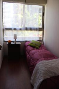 圣地亚哥Aparthotel Santiago Capital的相册照片