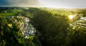 乌布Viceroy Bali的森林中村庄的空中景观