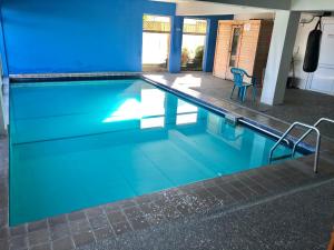 陶波绝对湖景汽车旅馆的一座带蓝色墙壁的大型游泳池