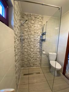 米沃姆温Domek nad jeziorem Winiec的浴室设有玻璃淋浴间和卫生间