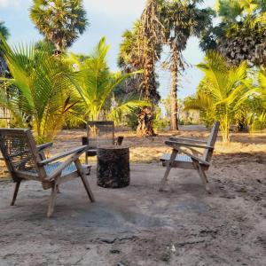 贾夫纳Malabar Beach Walk的棕榈树海滩上的两把椅子和垃圾桶