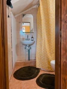 ChynadiyovoВілла де Кампо的一间带水槽和淋浴帘的浴室