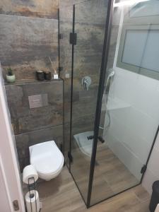 YuvalNaim Mountain View的一间带卫生间和玻璃淋浴间的浴室