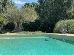 弗维沃FUVOLEA, Maison de vacances à 15 min du centre d'Aix-en-Provence, piscine chauffée en saison - jardin - parking privé gratuit的树荫庭院中的游泳池