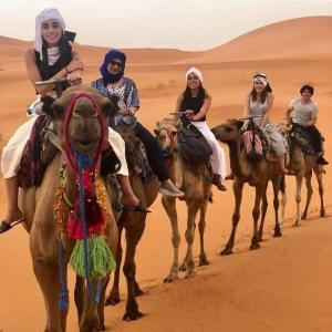 姆哈米德Erg Chegaga Camp Excursions的一群人在沙漠骑骆驼