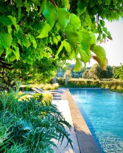 屈屈龙Le Pavillon de Galon的一座树木繁茂的庭院内的游泳池