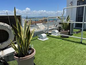 圣胡安KASA Roof Top 6 1 bed 1 bath for 2 Guests AMAZING Views Old San Juan的两株植物在阳台上种草