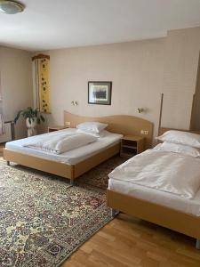 索非亚Family Hotel Zdravets的一间带两张床的卧室和地毯